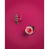 Vibrating Egg with Remote Control - Strawberry Red